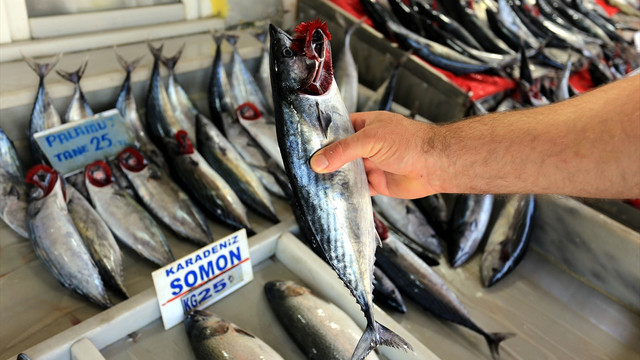 Balıkçıların yüzü palamutla güldü