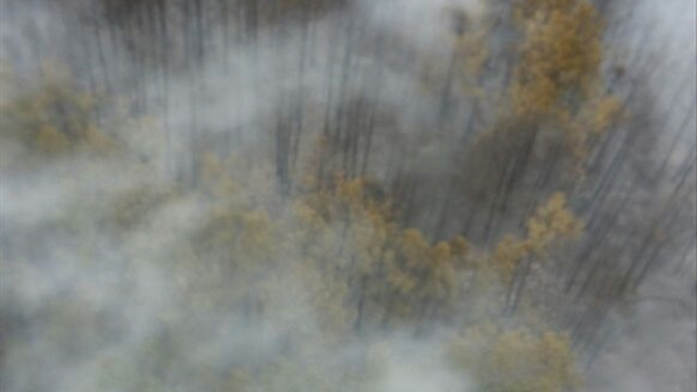 Balıkesir'de orman yangını