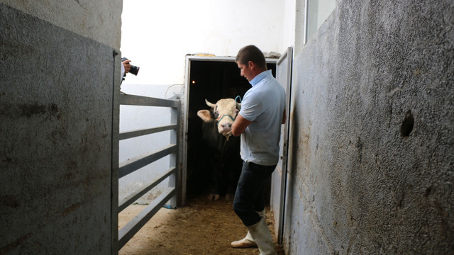 Balkanlarda Kurban Bayramı