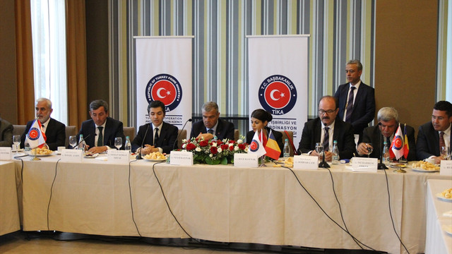 Başbakan Yardımcısı Kaynak, Romanya'da