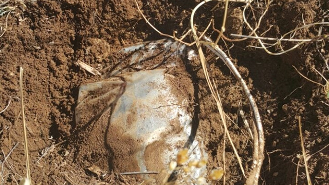 Bingöl'de terör operasyonu