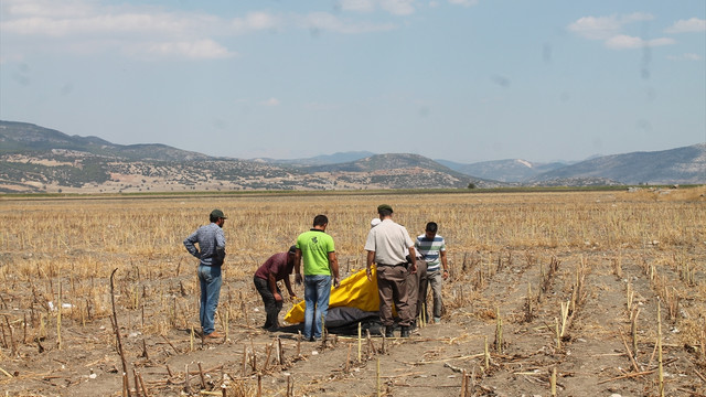 Burdurda hayvan otlatma kavgası: 3 ölü, 1 yaralı