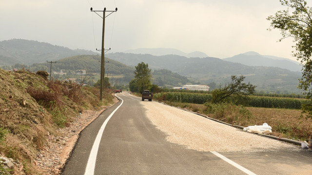 Bursa'da 2,3 kilometrelik ürün kurutma alanı