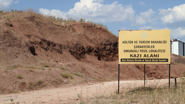 Çankırıda 71 fosil çıkarıldı