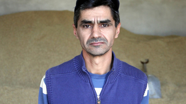 Çeltikte kurutma mesaisi