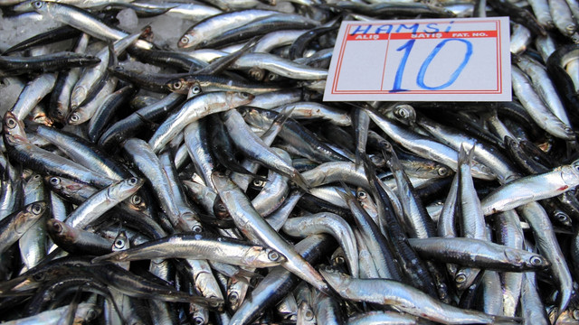 Denizlerin ''kuru fasulyesi'' hamside de fiyat düştü