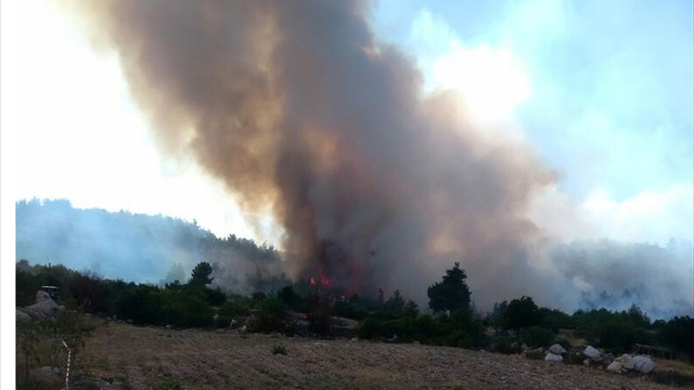 Denizli'de orman yangını