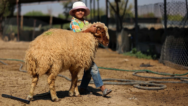 Doğu Gutada ablukaya rağmen kurban hazırlıkları devam ediyor