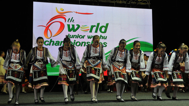 Dünya Gençler Wushu Şampiyonası