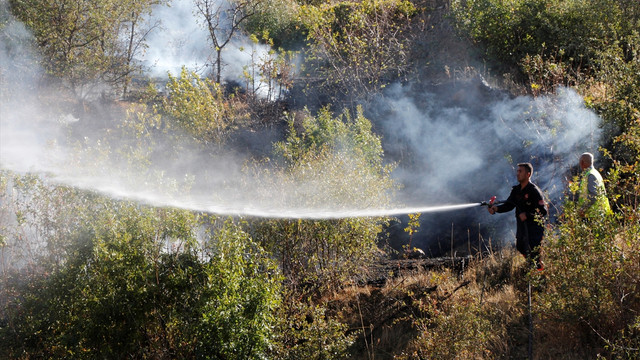 Elazığ'da orman ve örtü yangını