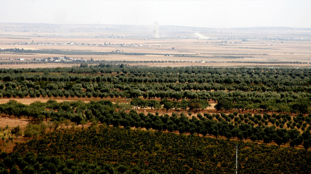 Fırat Kalkanı Harekatı