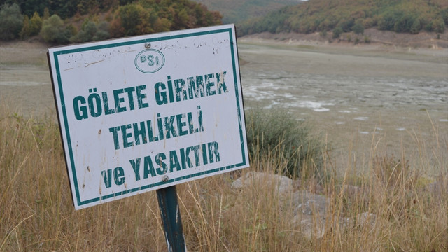 Gölet kuruyunca balıklar telef oldu