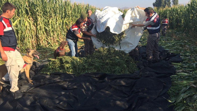 İzmir'de uyuşturucu operasyonu