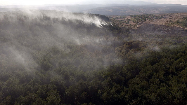 Karabük'te orman yangını