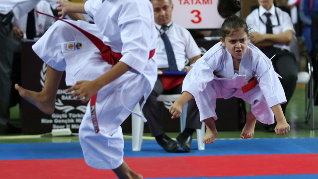 Karadeniz ve Hazar Denizi Ülkeleri Karate Şampiyonası