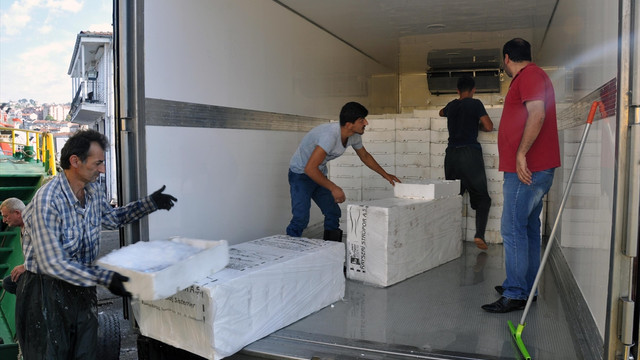 Karadeniz'de palamut bereketi