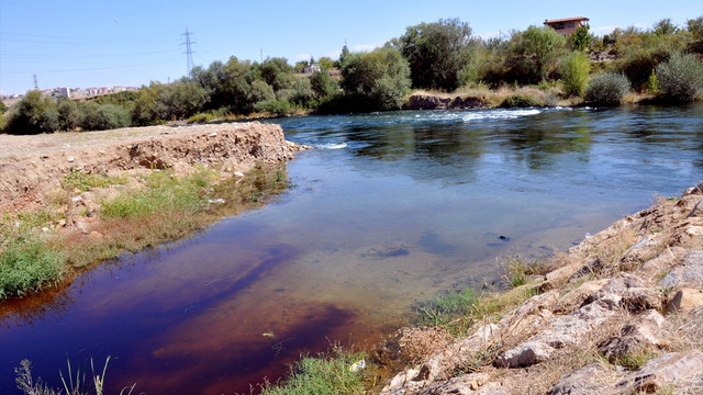 Kırıkkale'de dereden su içen koyunların zehirlendiği iddiası