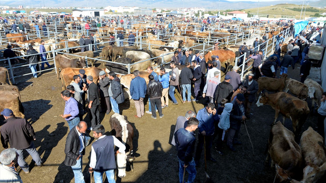 Kurban Bayramı'na doğru