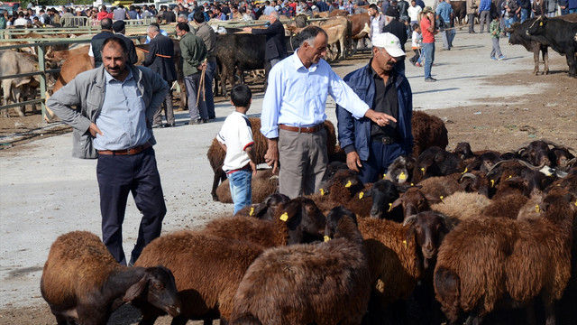 Kurban Bayramı'na doğru