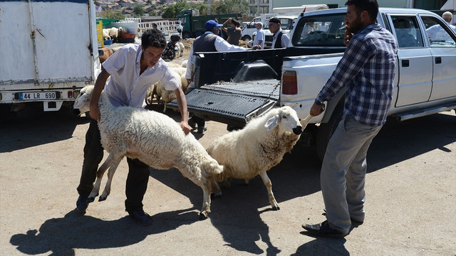 Kurban pazarında arife hareketliliği