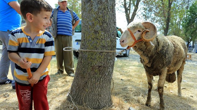 Kurban pazarlarında arife hareketliliği