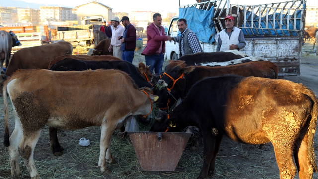 Kurban pazarlarında yoğunluk