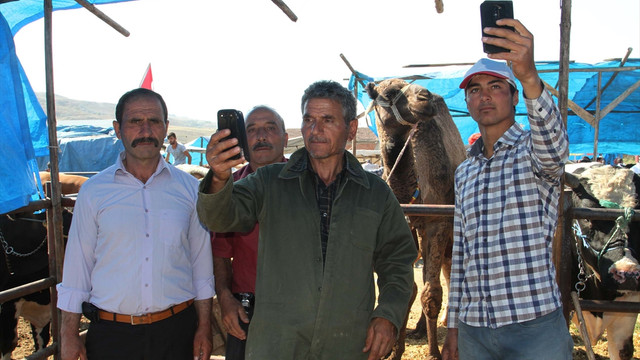 Kurbanlık deve Bilo pazarın gözdesi oldu