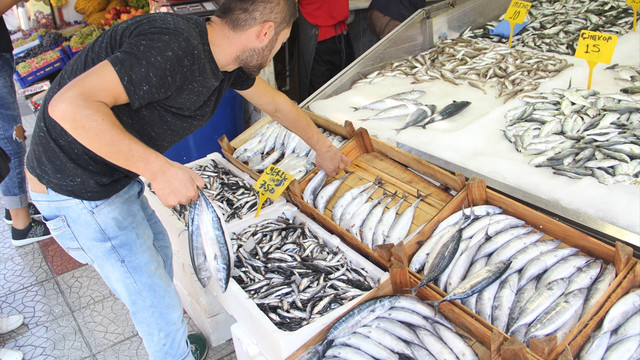 Palamudun tanesi 2,5 lira oldu