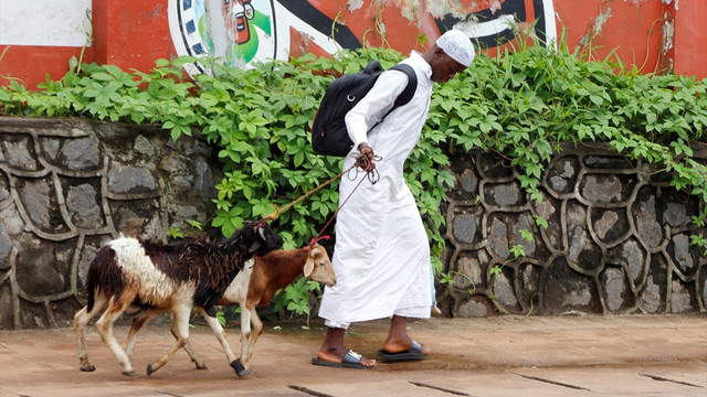 Sierra Leone'de Kurban Bayramı hazırlıkları