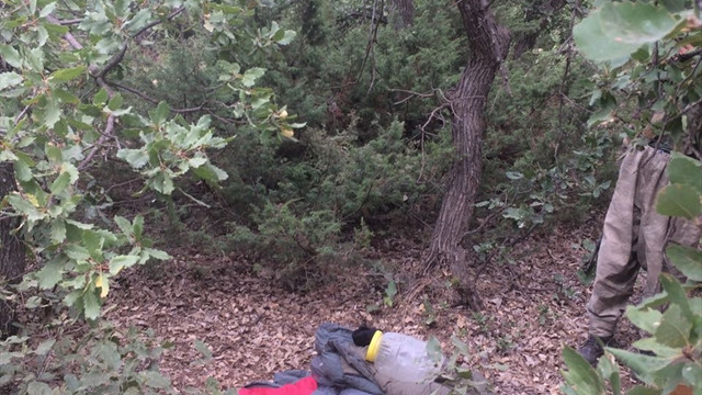 Siirt'teki terör operasyonu