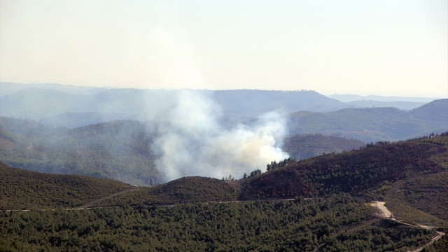 Suriye sınırında orman yangını