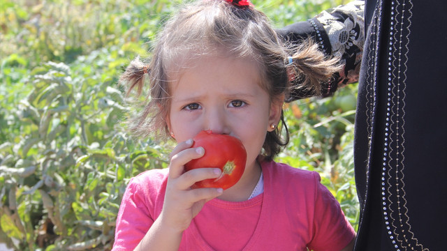 Konyada Tarıma Engel Yok hasat şenliği yapıldı