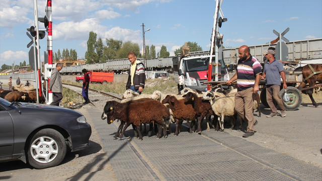 Tren hattında tehlikeli kurbanlık satışı