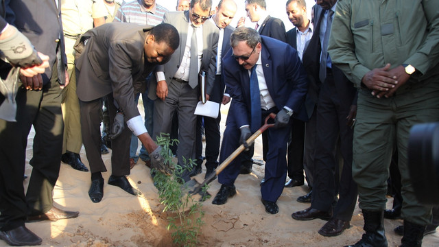 Türkiye'den Moritanya'ya tohum desteği