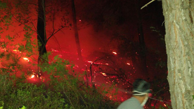 Adana Kozanda büyük panik! 10 hektarlık ormanda yangın çıktı