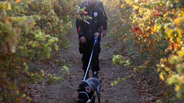 Alaşehir'de kız çocuğunun kaybolması