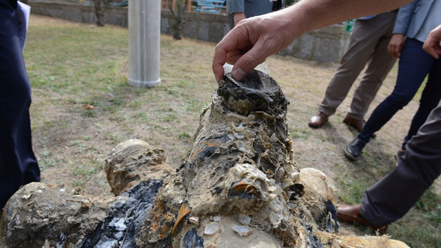 Balıkçı teknesinin ağlarına takılan uçak pervanesi