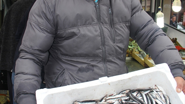 Balıkçıların hamsi heyecanı başladı