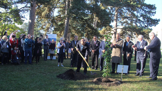 BM Genel Sekreteri Ban'dan nükleer silahsızlanma çağrısı