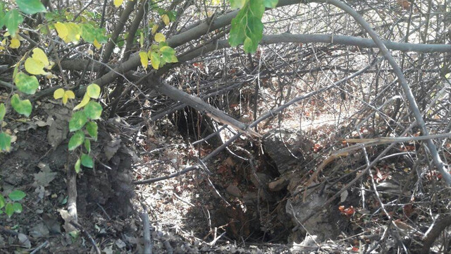 Batman'da terör operasyonu