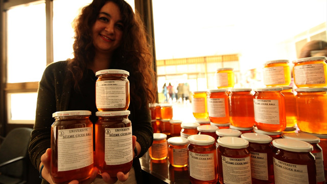 Bilimsel arıların balı kilogramı 50 liradan satılıyor