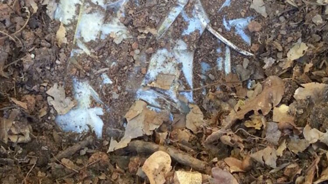 Bingöl'de terör operasyonu