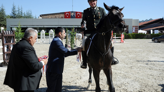 Binicilik: Anadolu Ajansı Kupası