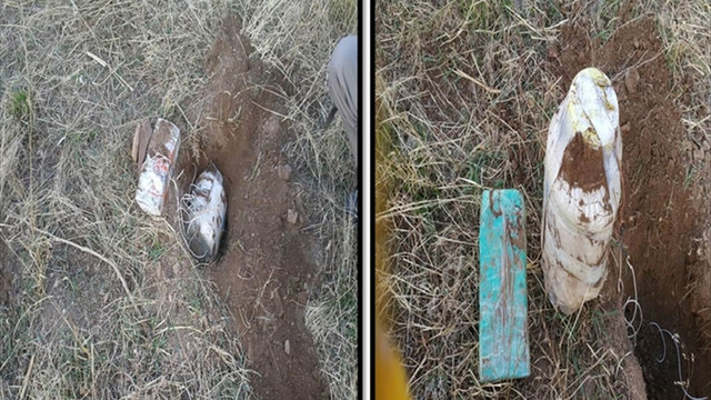 Bitlis'teki terör operasyonu