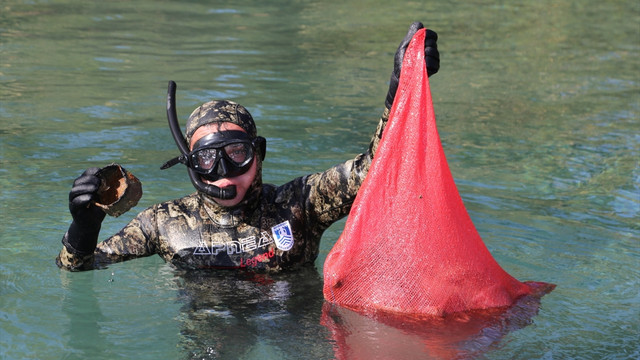 Bodrum'da deniz dibi temizliği