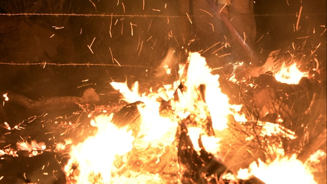 Bodrum'da makilik alanda yangın