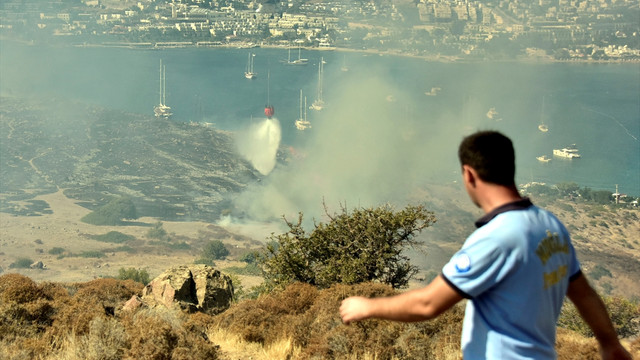 Bodrum'da makilik alanda yangın