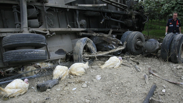 Bursa'da hindi taşıyan kamyon devrildi: 1 ölü