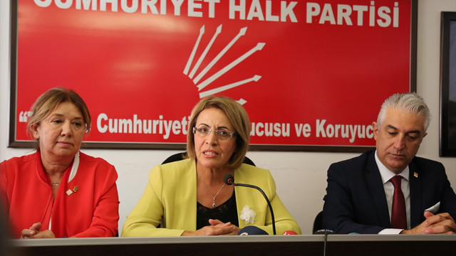 CHP Kadın Kolları Genel Başkanı Köse: