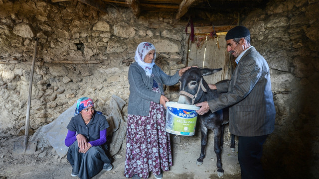 Çobanın otuz yıllık emeğini çaldılar